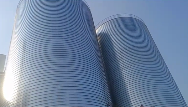 单县2座混凝土高架卷板仓